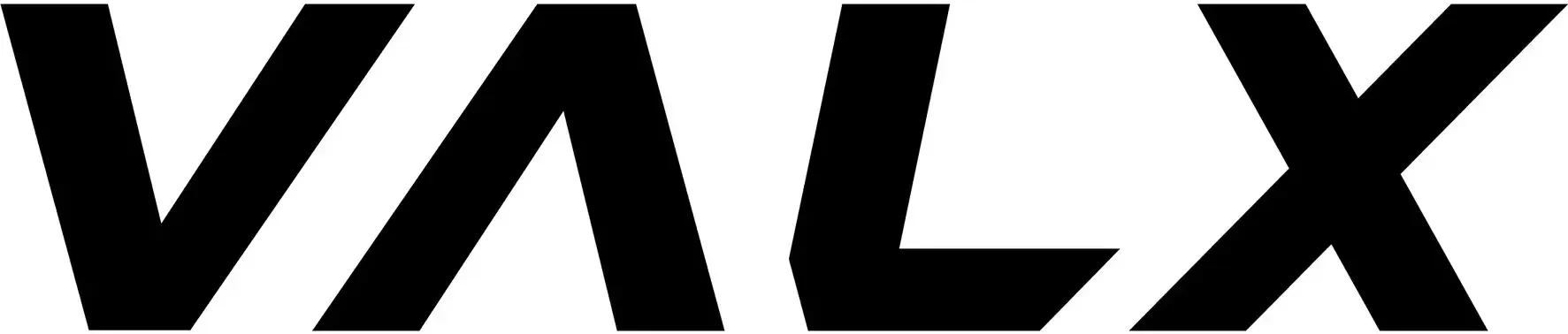 VALX株式会社のロゴ
