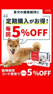 健康食品のバナー広告の例（ベッツペッツ ・ アンチノール 犬猫の健康維持に役立つサプリメント）：愛犬の健康維持に5%OFF