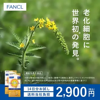 健康食品のバナー広告の例（ウェルエイジプレミアム）：植物とサプリ価格